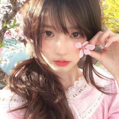 哈莉·奎茵第二季